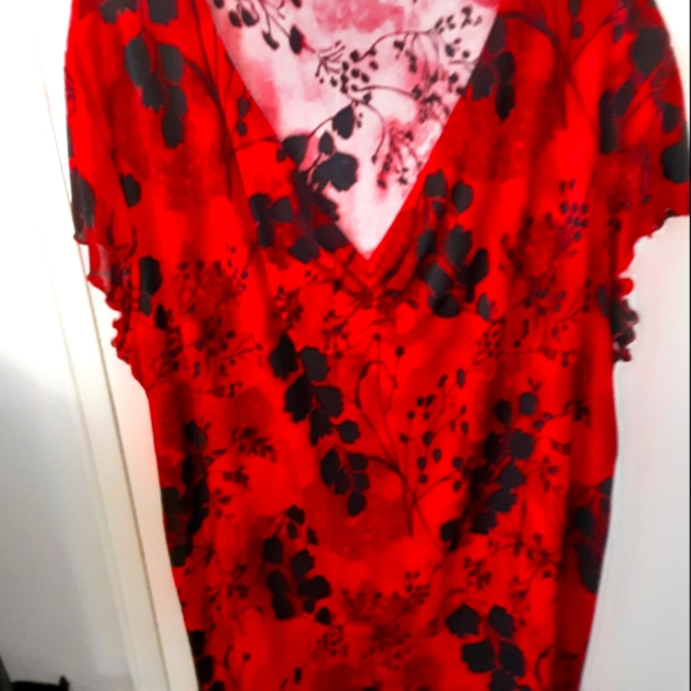 Red blouse